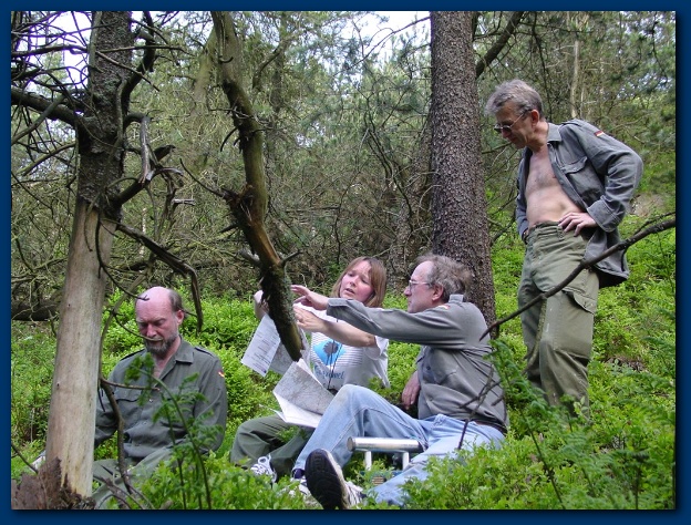 600x449 pixels (198K)